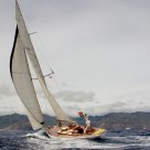 Kahurangi